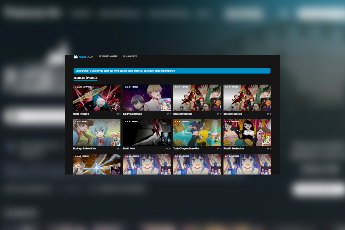 Interface de la plateforme Neko Sama