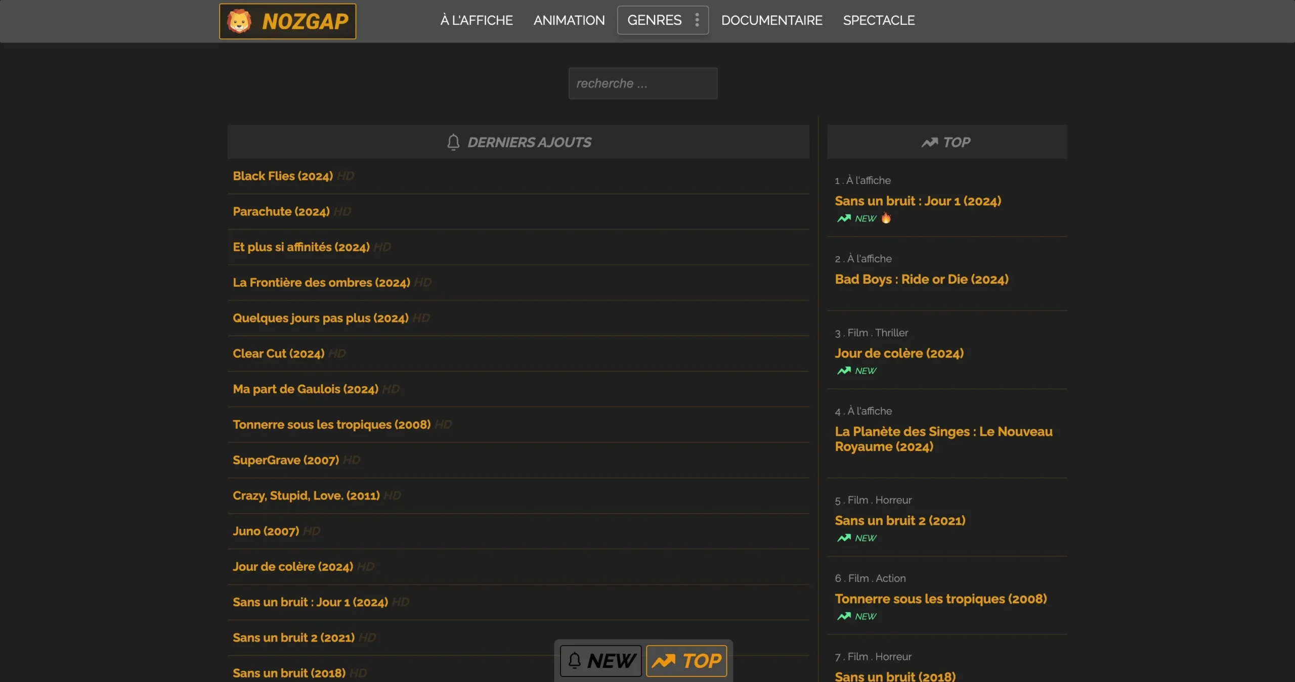 Interface site Nozgap Streaming
