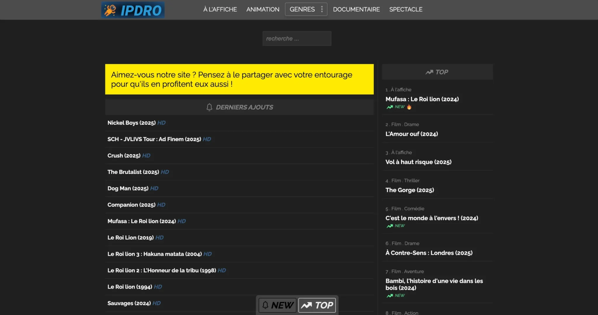 Interface du site Ipdro pour le streaming en ligne, illustrant son attrait et sa popularité