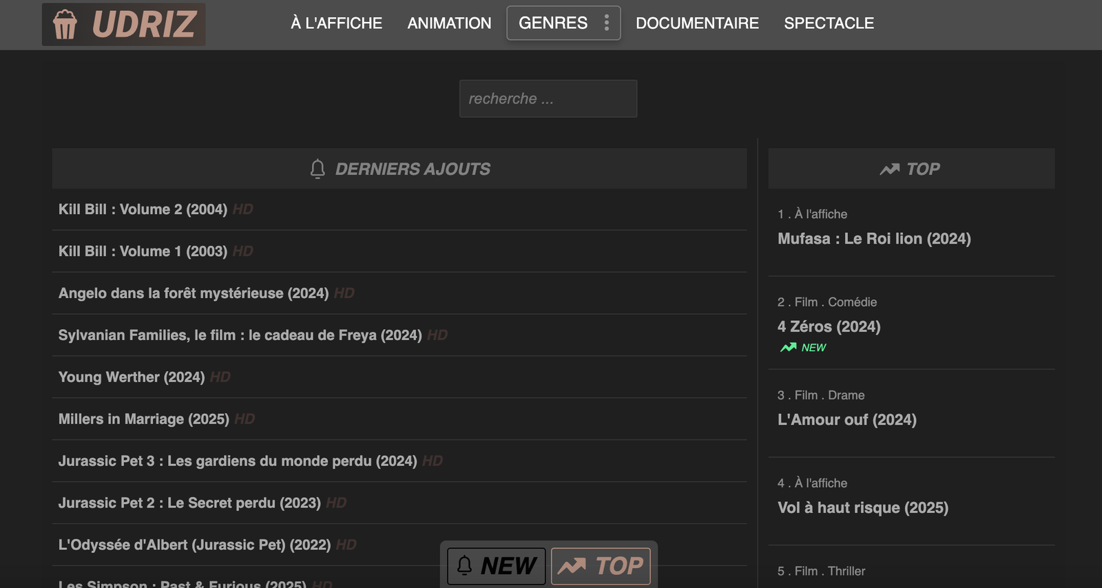 Nouvelle interface du site Udriz après le changement de nom depuis Yortom en 2025