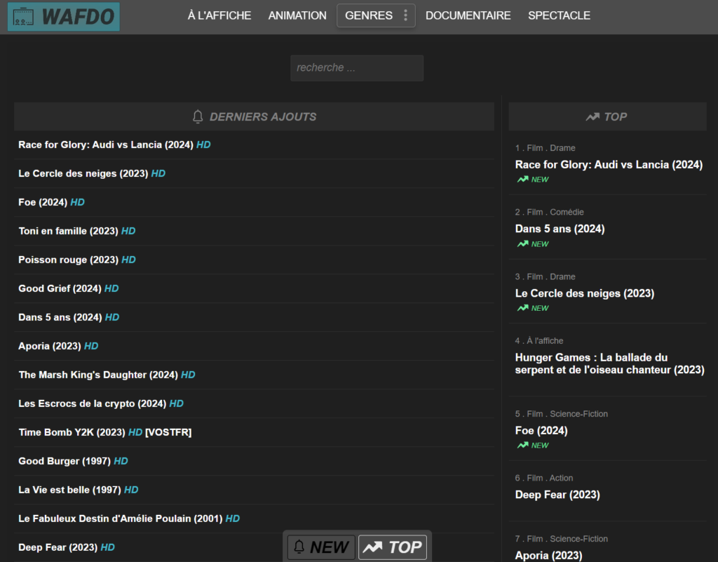 site vizvop indisponible