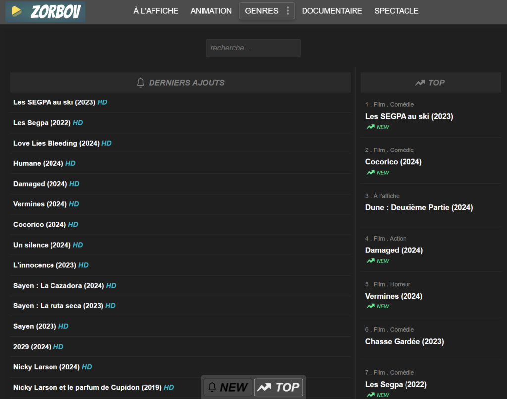 Message d'erreur site streaming hors service