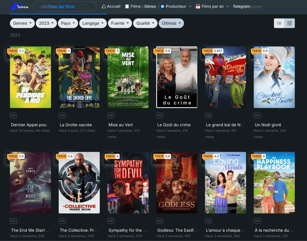 Page d'accueil de WookaFR présentant une interface de streaming gratuite moderne
